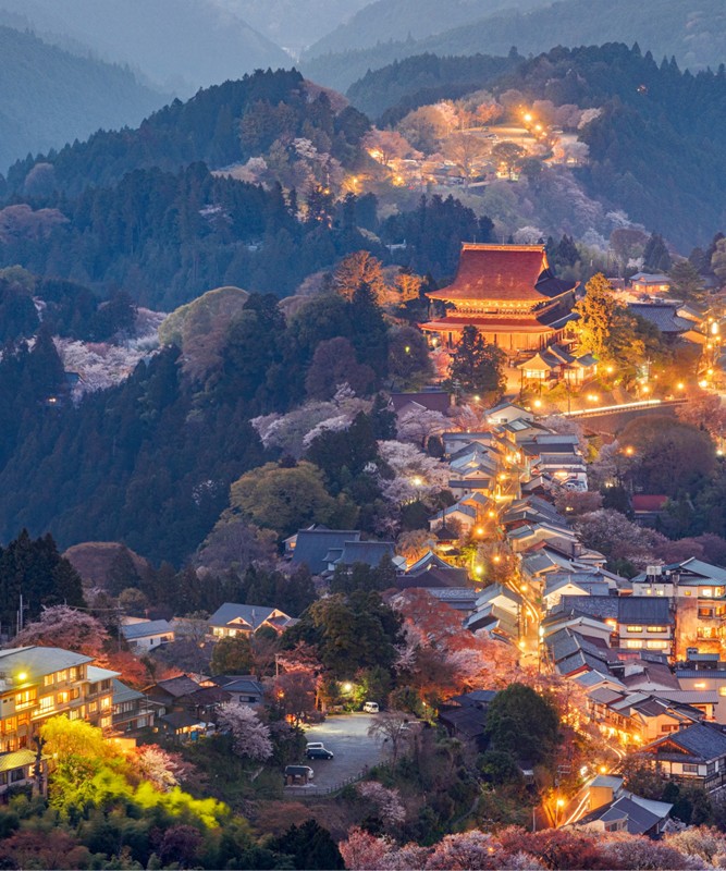 Japonya Sakura R�yas�: Japonya Bahar Turu